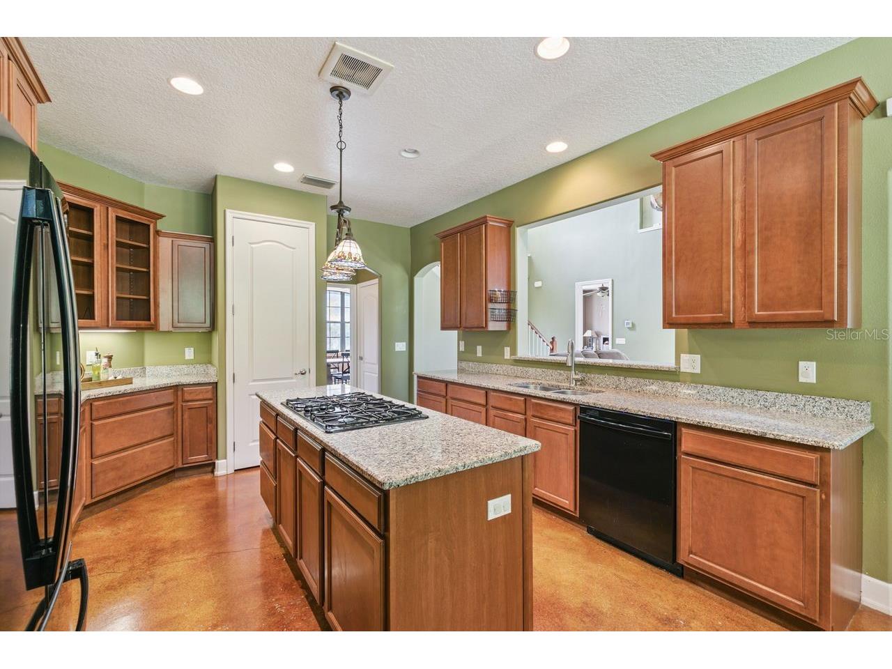 36137 Mattawan Drive Eustis FL 32736 O6425407 image16