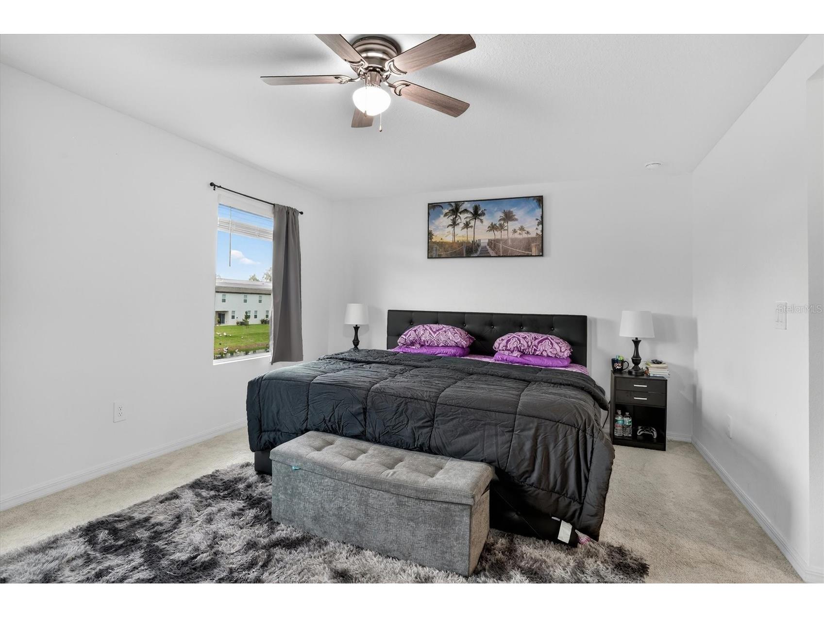 36139 Risa Michele Street Zephyrhills FL 33541 TB8518047 image17