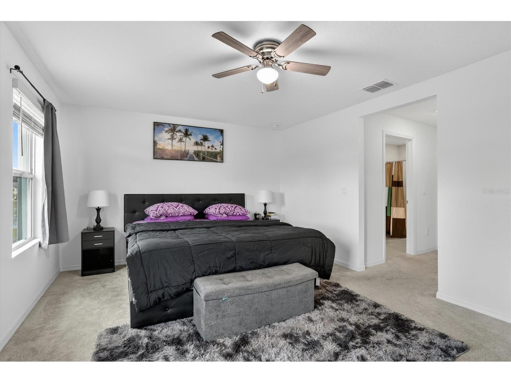 36139 Risa Michele Street Zephyrhills FL 33541 TB8518047 image18
