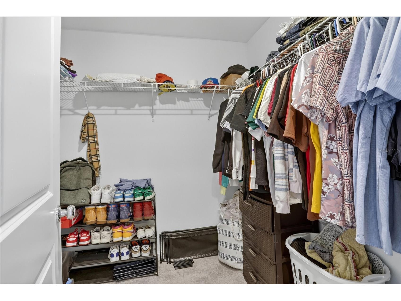 36139 Risa Michele Street Zephyrhills FL 33541 TB8518047 image23
