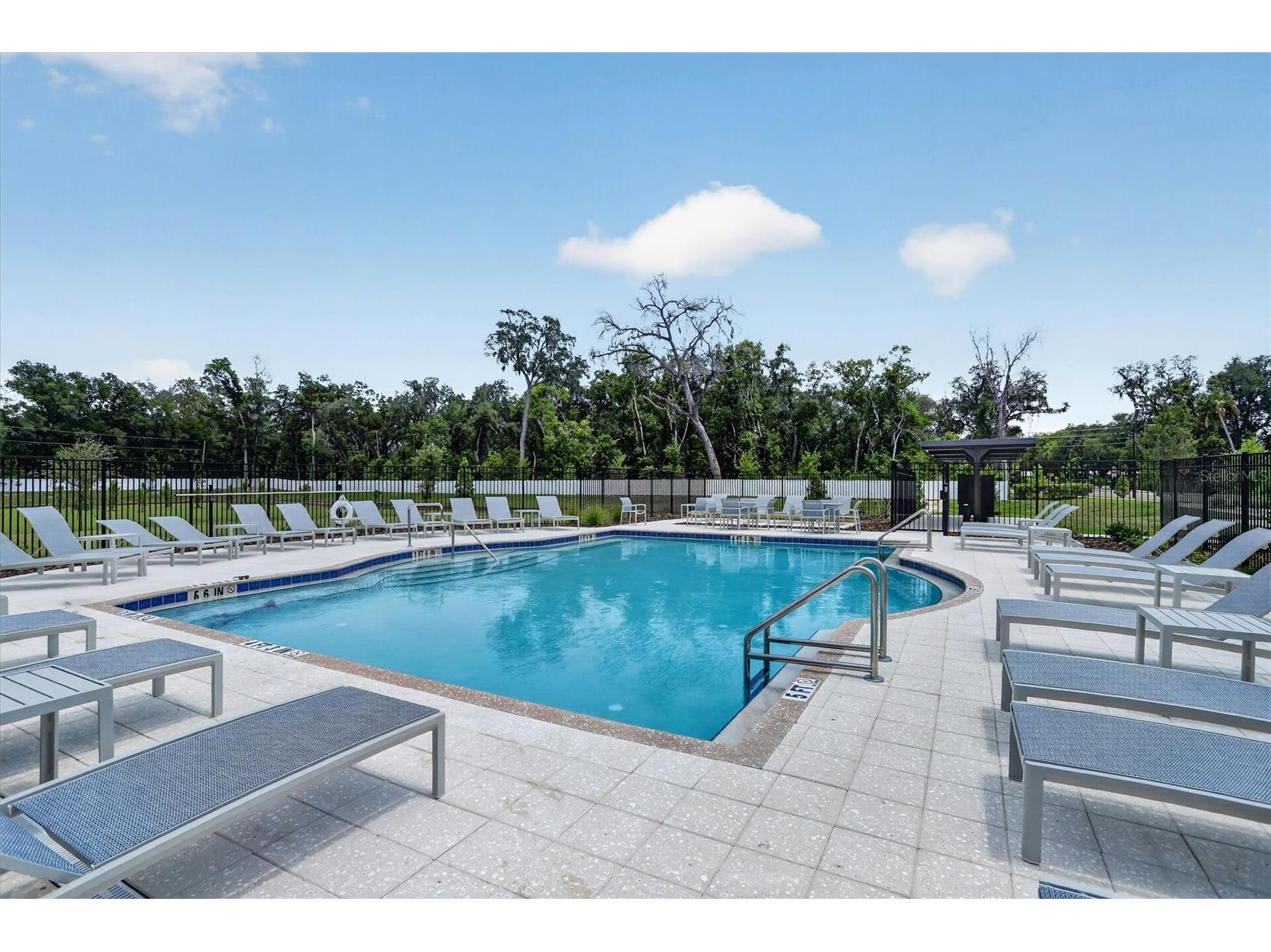 36139 Risa Michele Street Zephyrhills FL 33541 TB8518047 image34