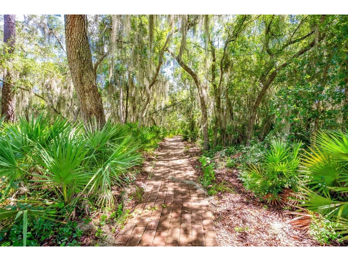 3614 Aquamarine Drive Deland FL 32724 - MAMIE NS1083535 image35