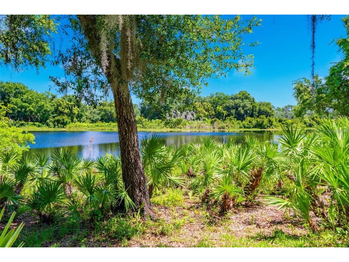 3614 Aquamarine Drive Deland FL 32724 - MAMIE NS1083535 image37