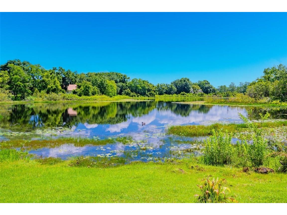 3614 Aquamarine Drive Deland FL 32724 - MAMIE NS1083535 image38