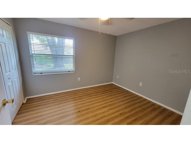 3614 Dellefield Street New Port Richey FL 34655 W7878724 image12