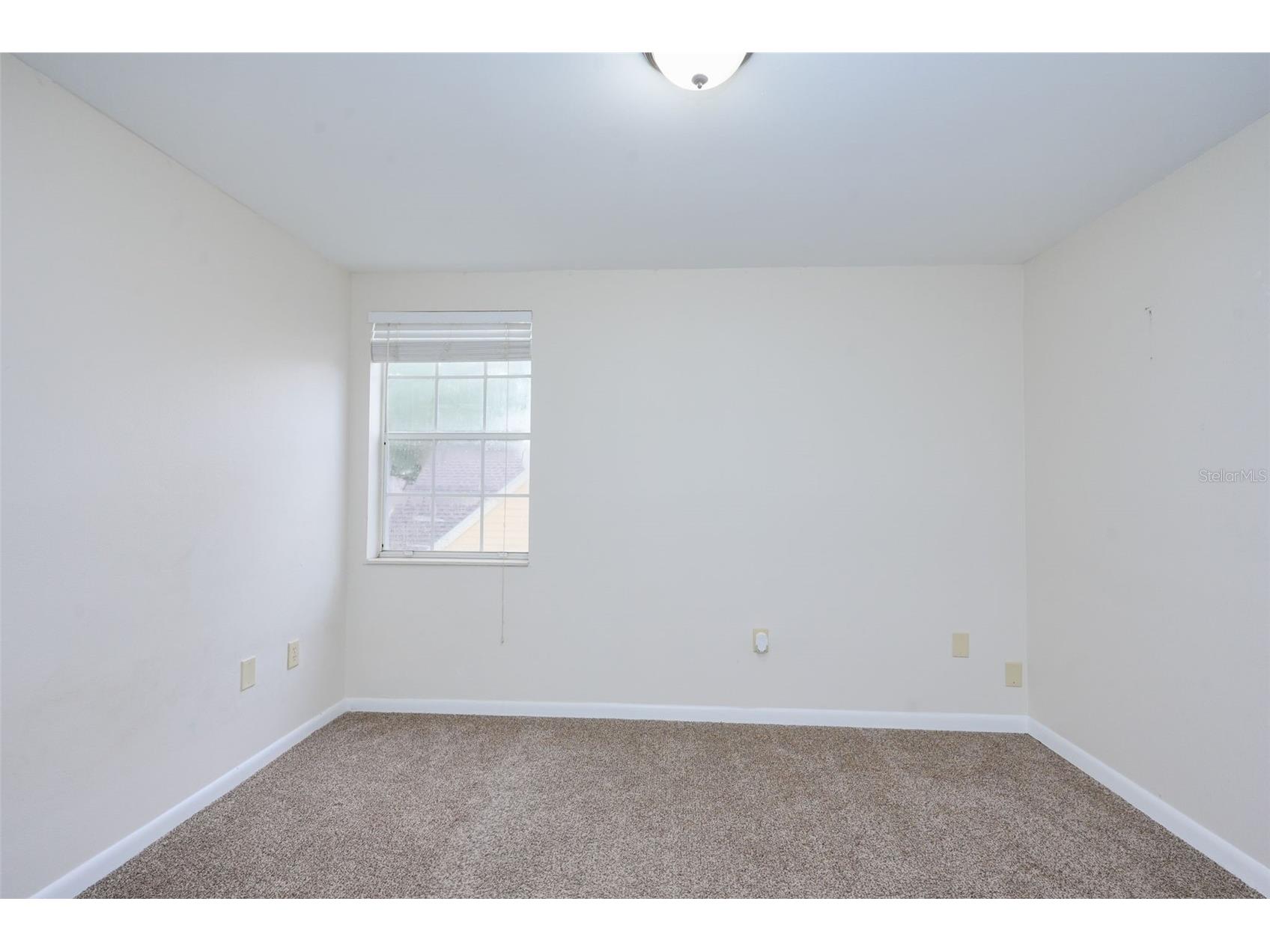 3614 Pine Knot Drive #3614 Valrico FL 33596 TB8529113 image29
