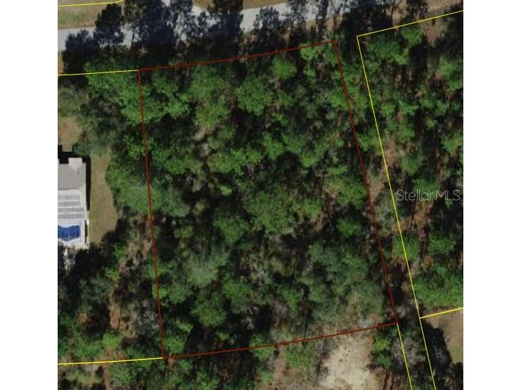 3614 W Giraffe Drive Citrus Springs FL 34433 W7873536 image1