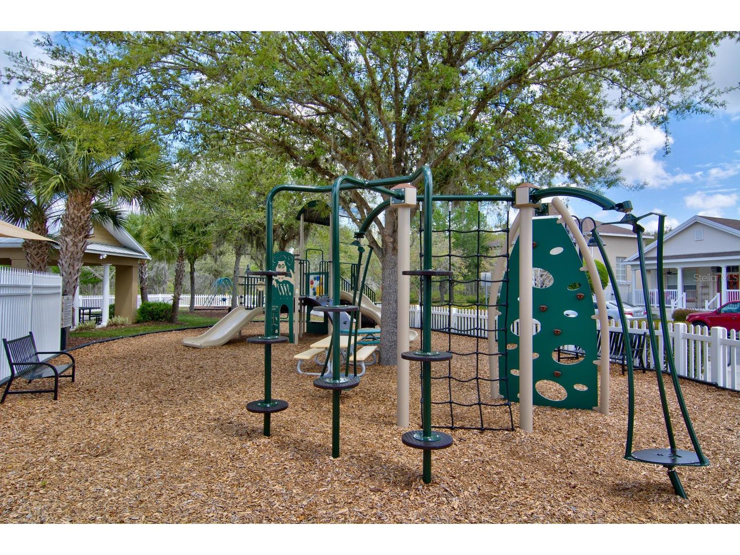 3614 Wiregrass Road New Port Richey FL 34655 W7886104 image43