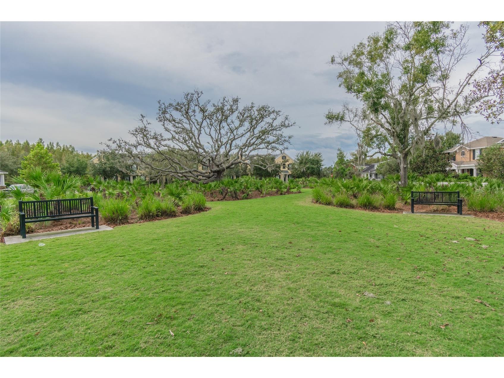 3614 Wiregrass Road New Port Richey FL 34655 W7886104 image49