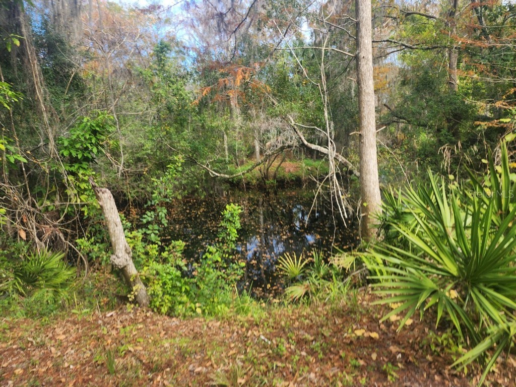 3615 Elfers Parkway New Port Richey FL 34655 - ANCLOTE RIVER U8177958 image1