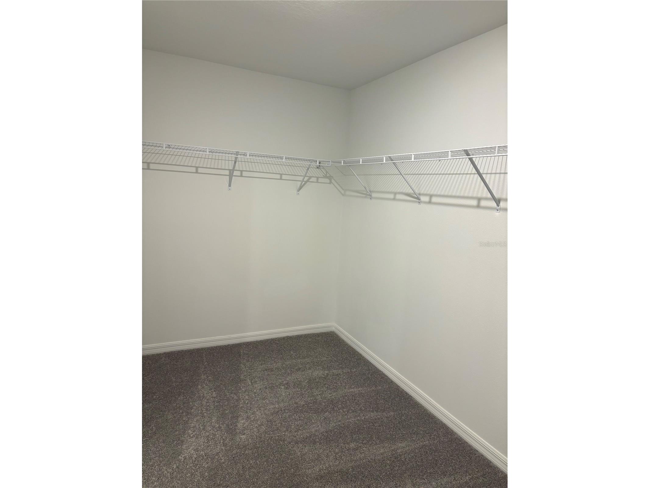 3615 Natural Trace Street Plant City FL 33565 O6412792 image16