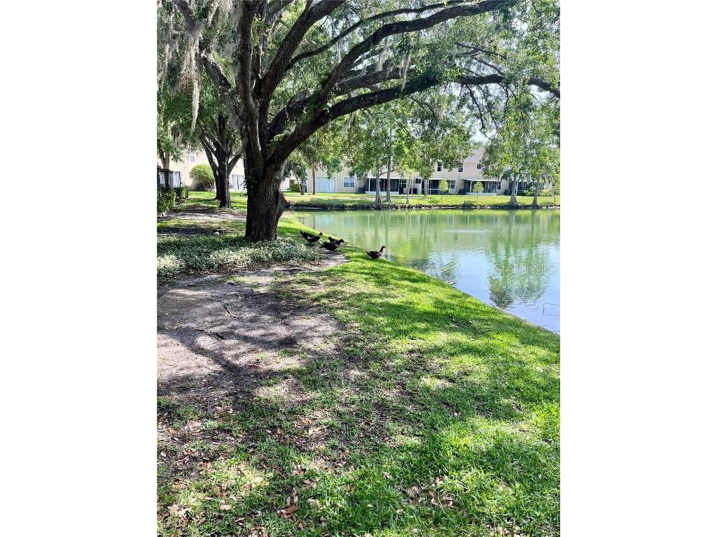 3615 Pine Knot Drive Valrico FL 33596 TB8386206 image1