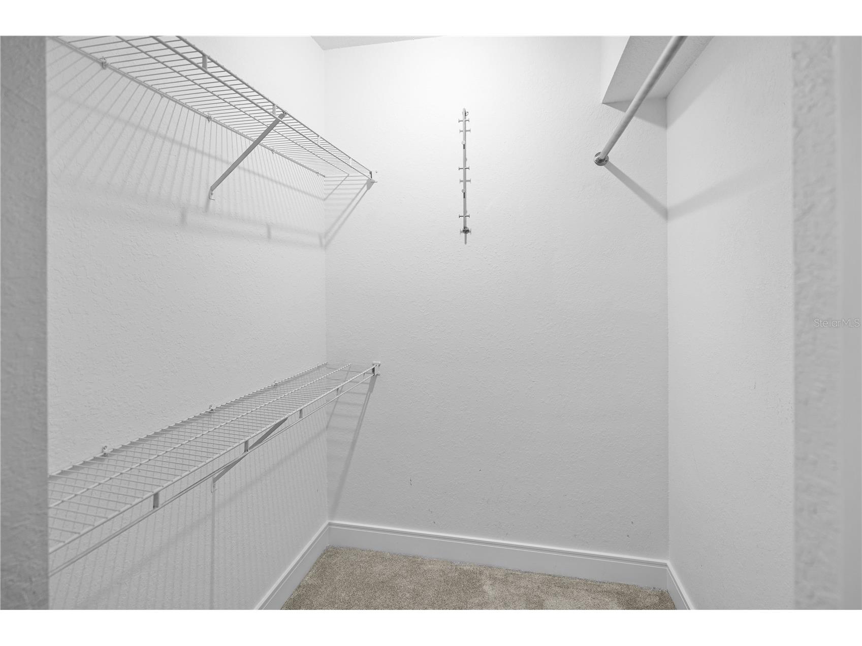 3616 Cypress Meadows Road Tampa FL 33624 TB8472492 image25