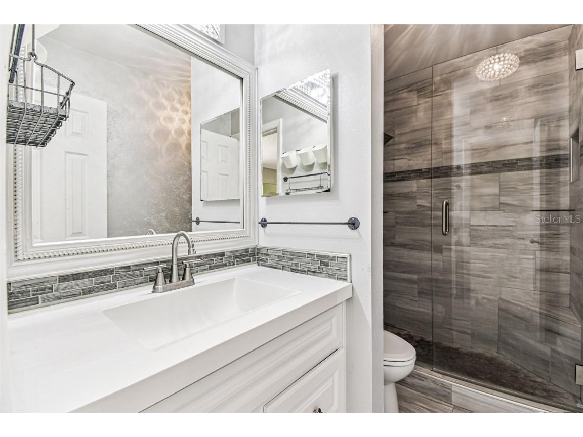 3616 Pine Knot Drive #3616 Valrico FL 33596 TB8447498 image39