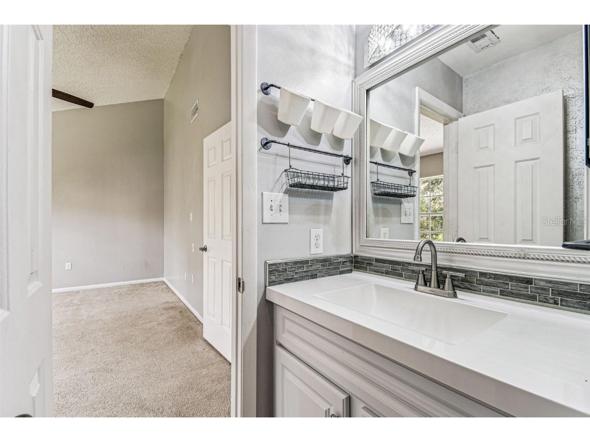 3616 Pine Knot Drive #3616 Valrico FL 33596 TB8447498 image41