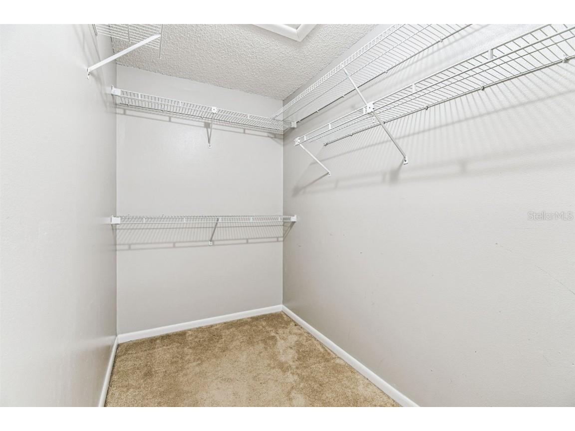 3616 Pine Knot Drive #3616 Valrico FL 33596 TB8447498 image42