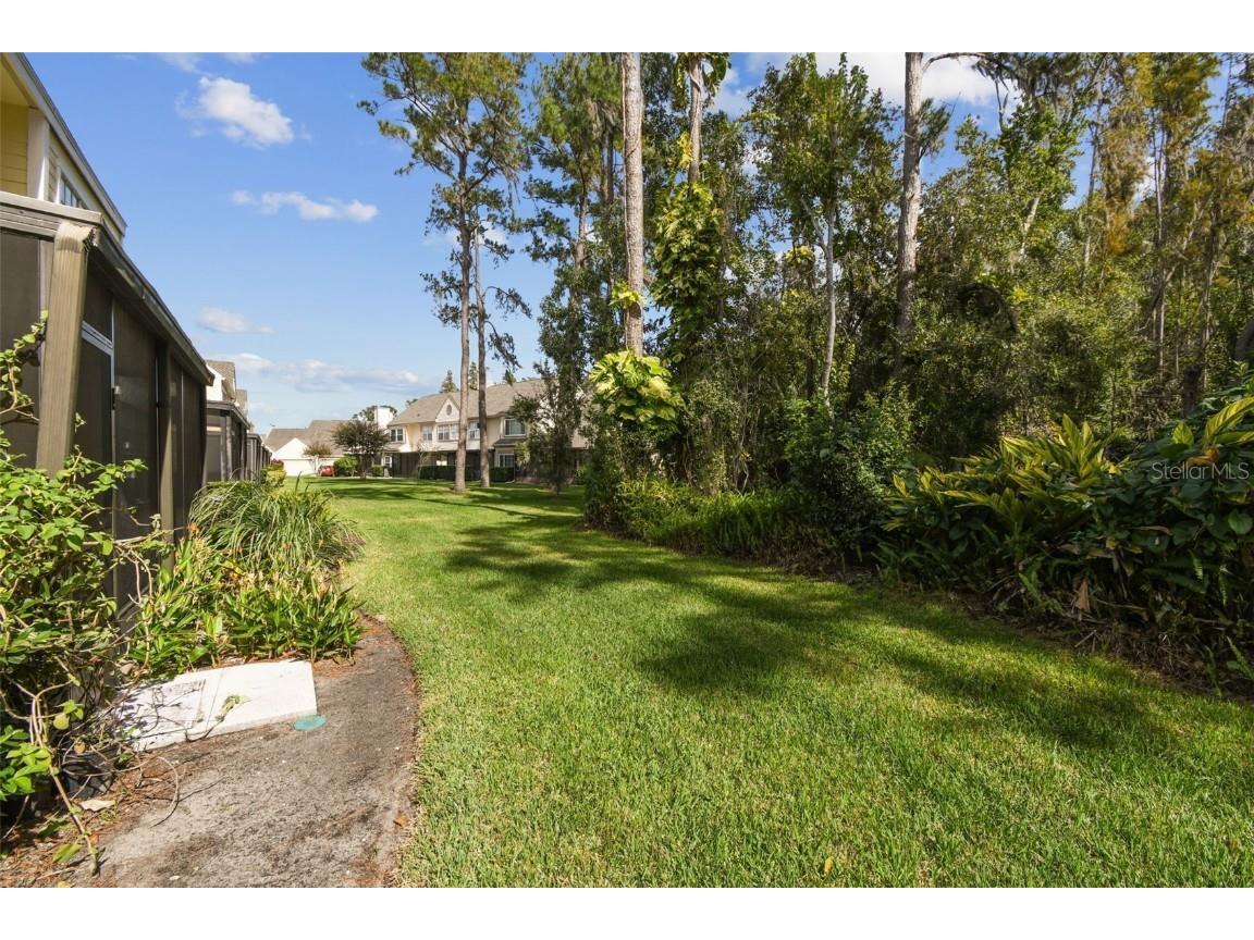 3616 Pine Knot Drive #3616 Valrico FL 33596 TB8447498 image50