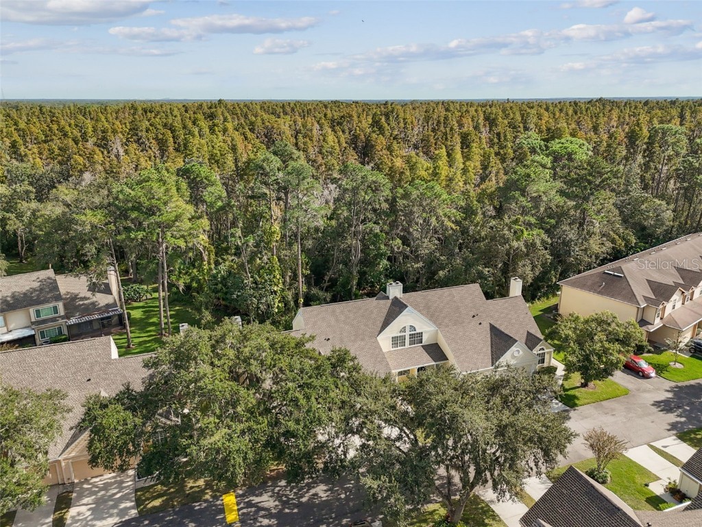 3616 Pine Knot Drive #3616 Valrico FL 33596 TB8447498 image55