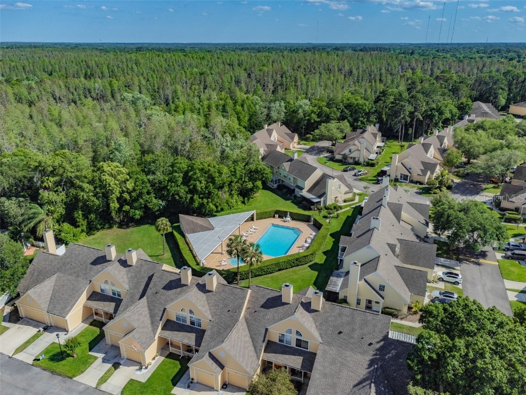 3616 Pine Knot Drive #3616 Valrico FL 33596 TB8447498 image56