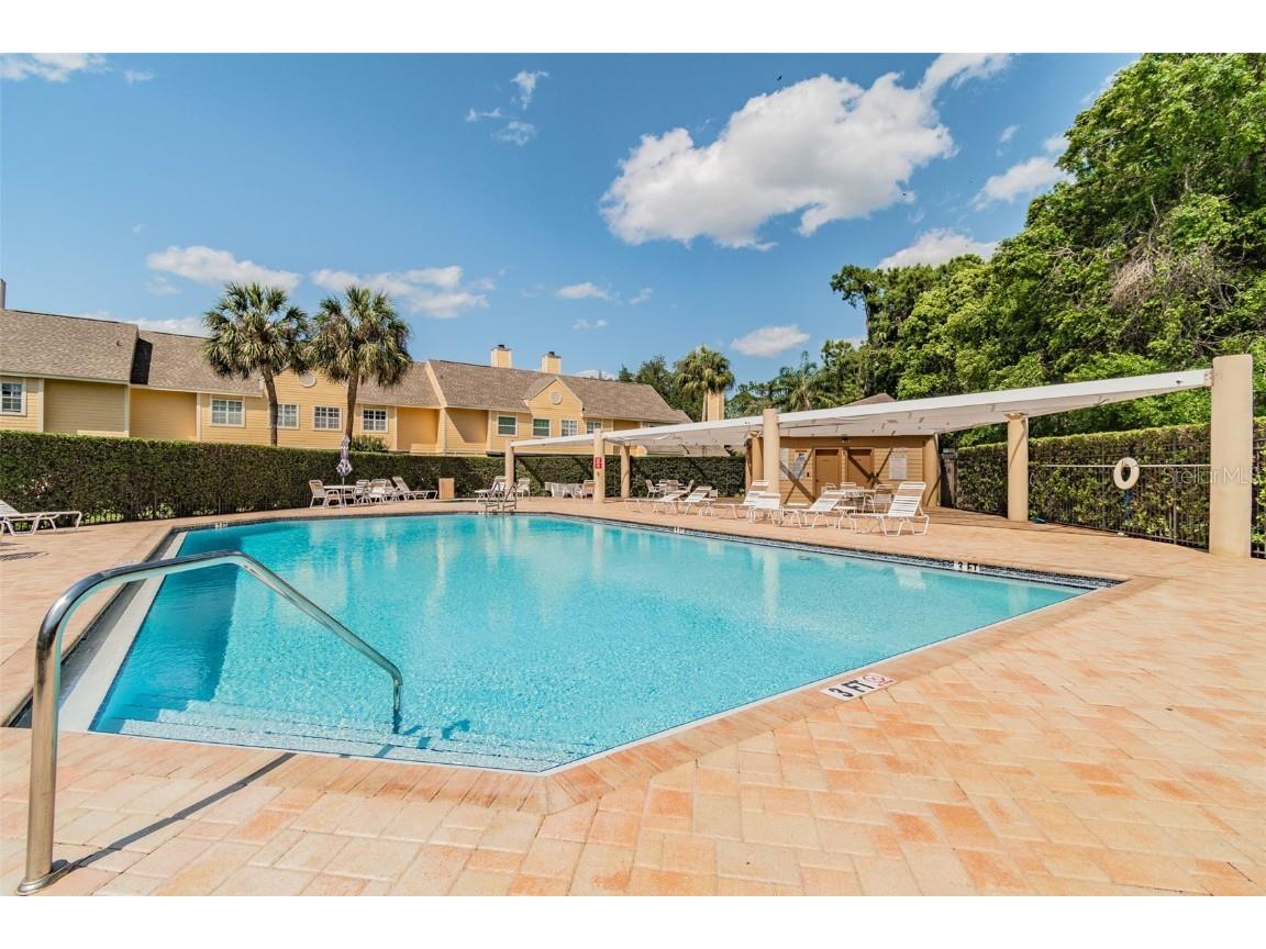 3616 Pine Knot Drive #3616 Valrico FL 33596 TB8447498 image59