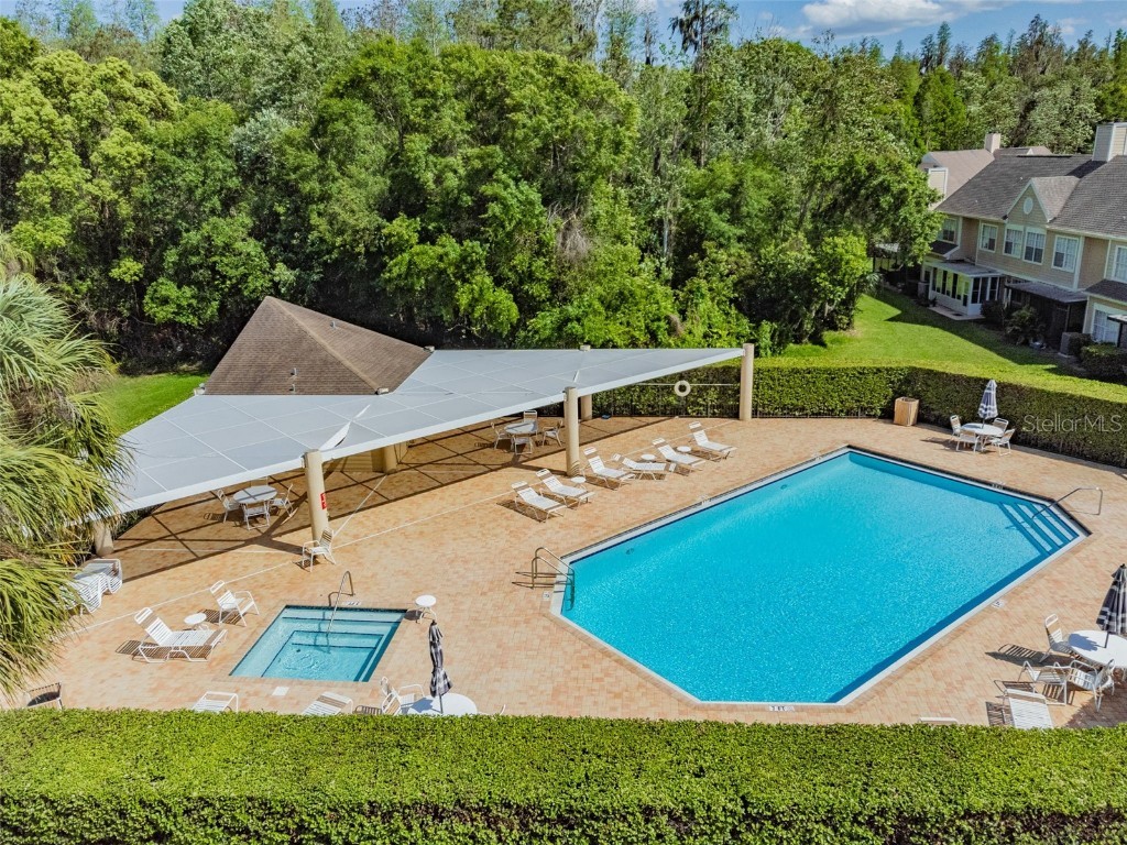 3616 Pine Knot Drive #3616 Valrico FL 33596 TB8447498 image61