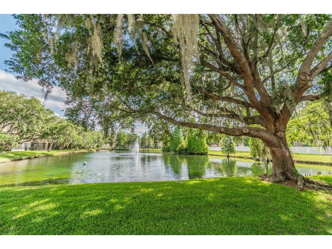 3616 Pine Knot Drive #3616 Valrico FL 33596 TB8447498 image62