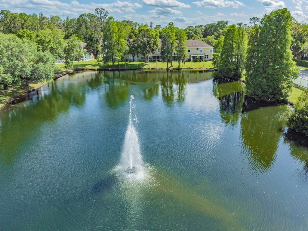 3616 Pine Knot Drive #3616 Valrico FL 33596 TB8447498 image63