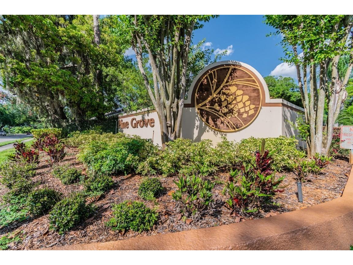 3616 Pine Knot Drive #3616 Valrico FL 33596 TB8447498 image66