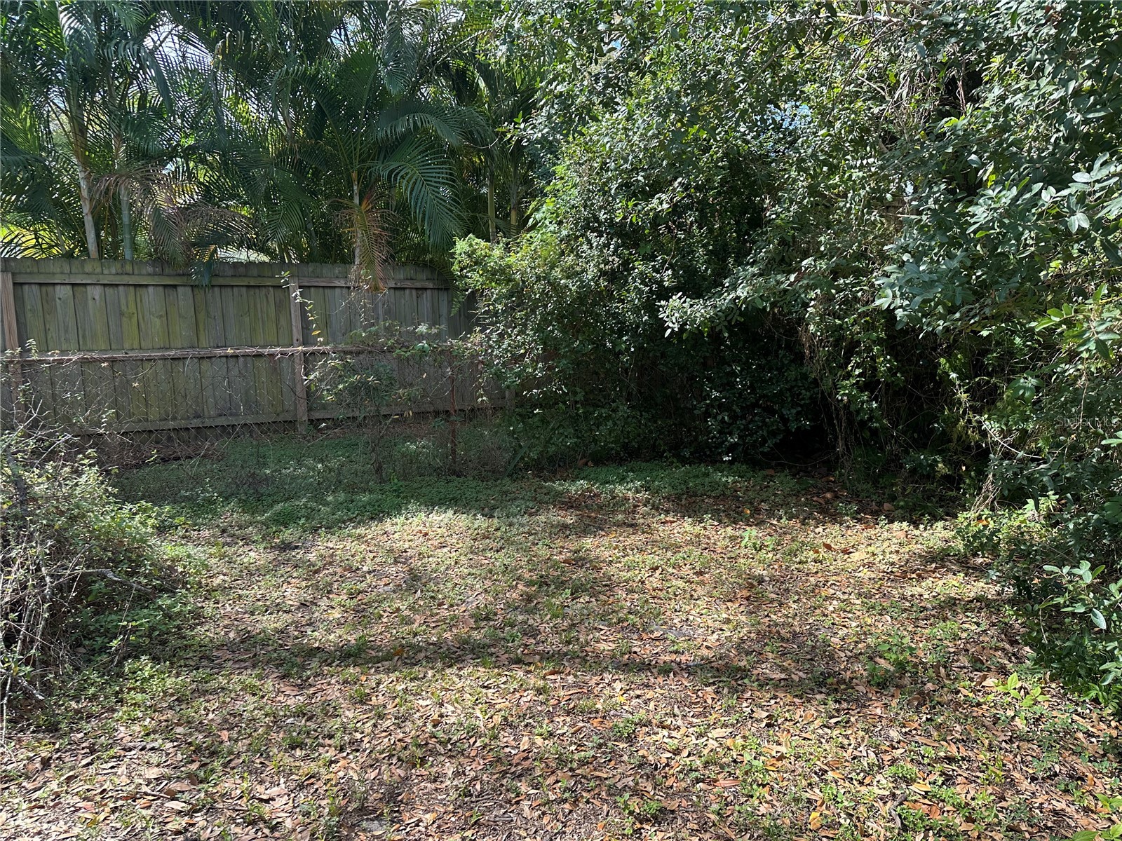 3616 W Azeele Street Tampa FL 33609 TB8483169 image4