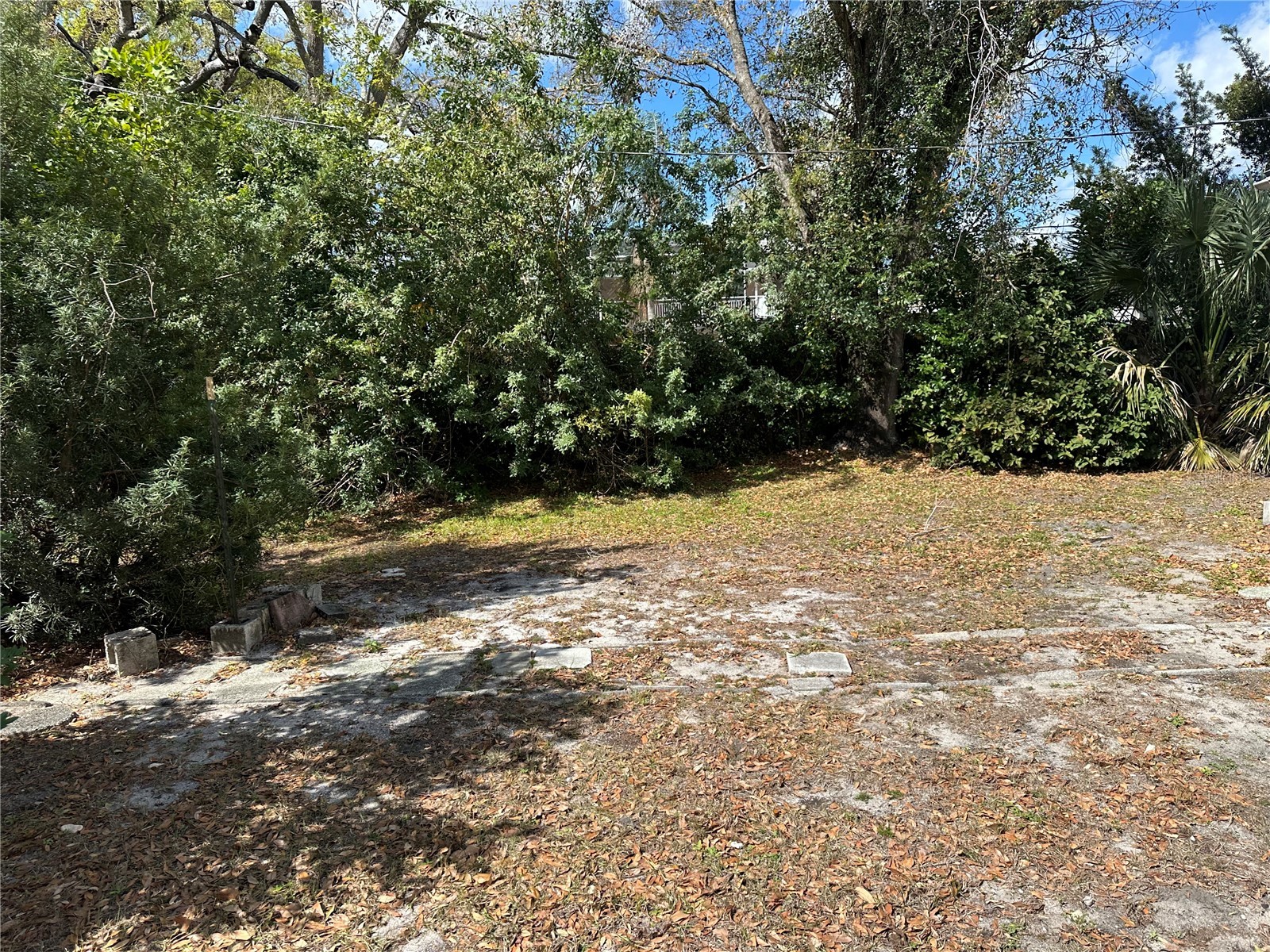 3616 W Azeele Street Tampa FL 33609 TB8483169 image5