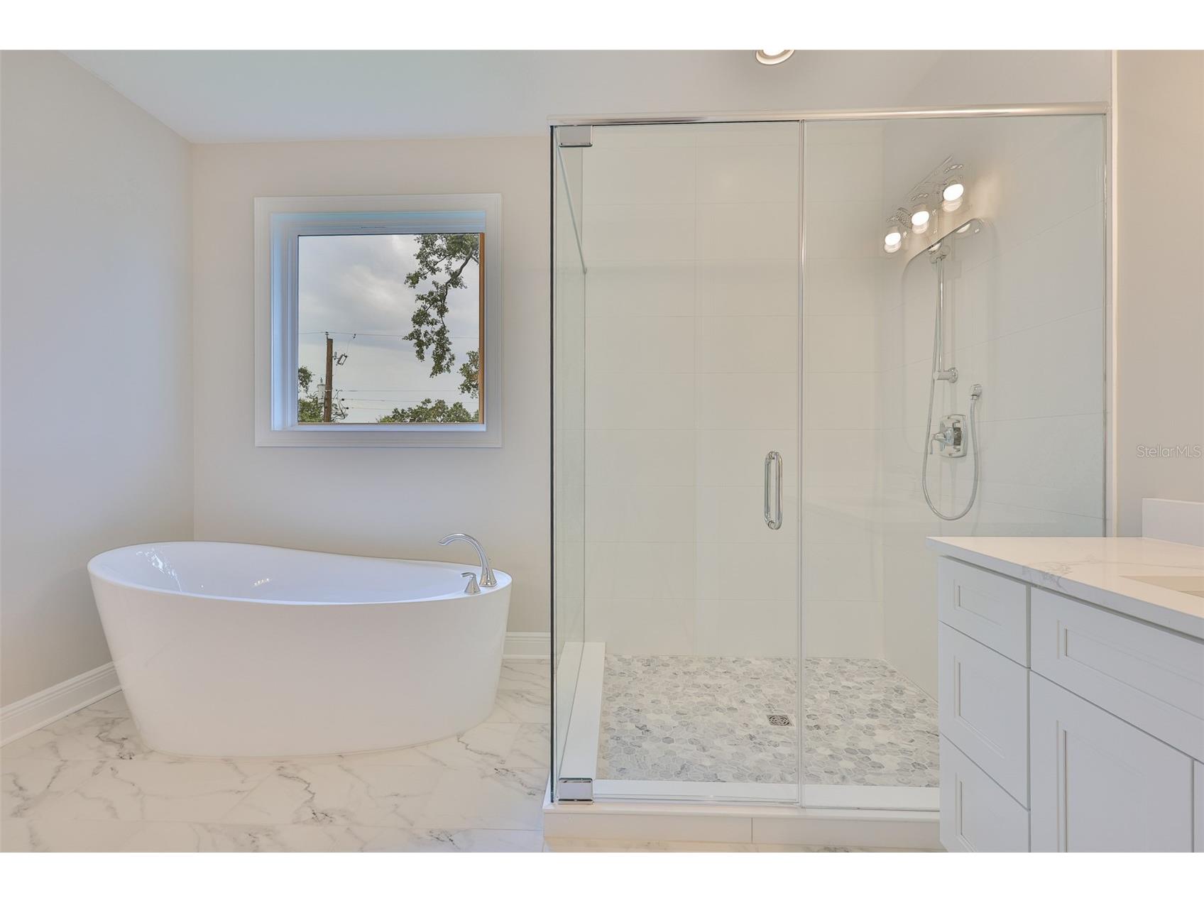 3616 W Platt Street Tampa FL 33609 TB8381543 image31