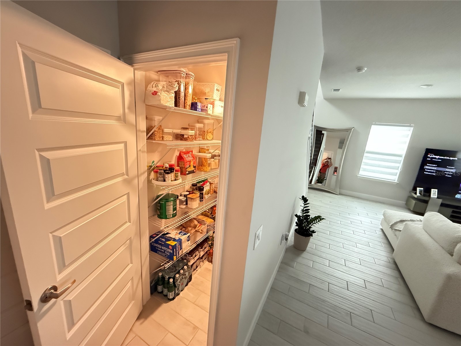 36169 Trinity Glade Road Dade City FL 33525 S5147614 image10