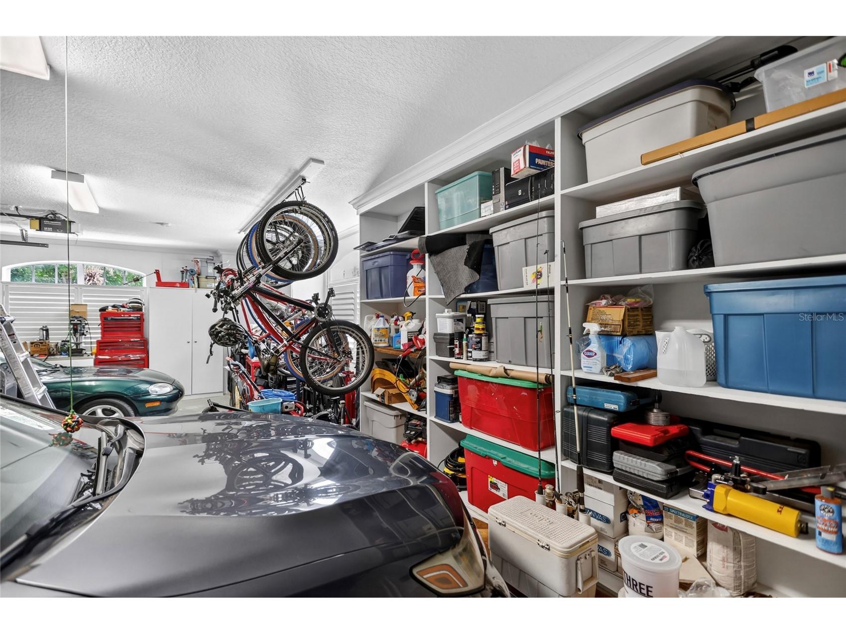 3617 Beech Tree Drive Orlando FL 32835 O6407439 image30