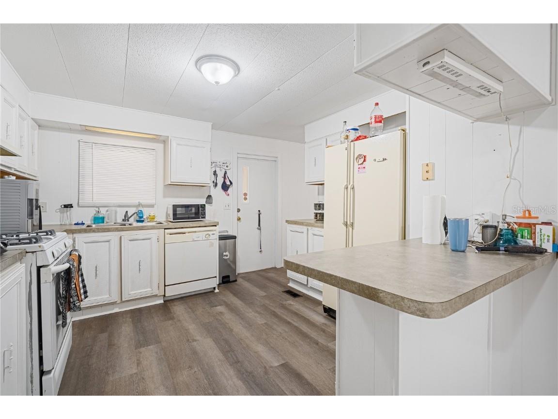 3617 Cr 406 Lake Panasoffkee FL 33538 W7881279 image11