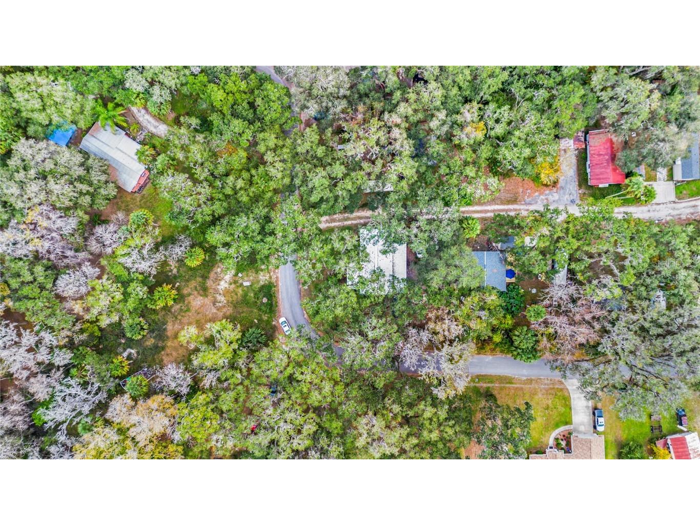 3617 Cr 406 Lake Panasoffkee FL 33538 W7881279 image29