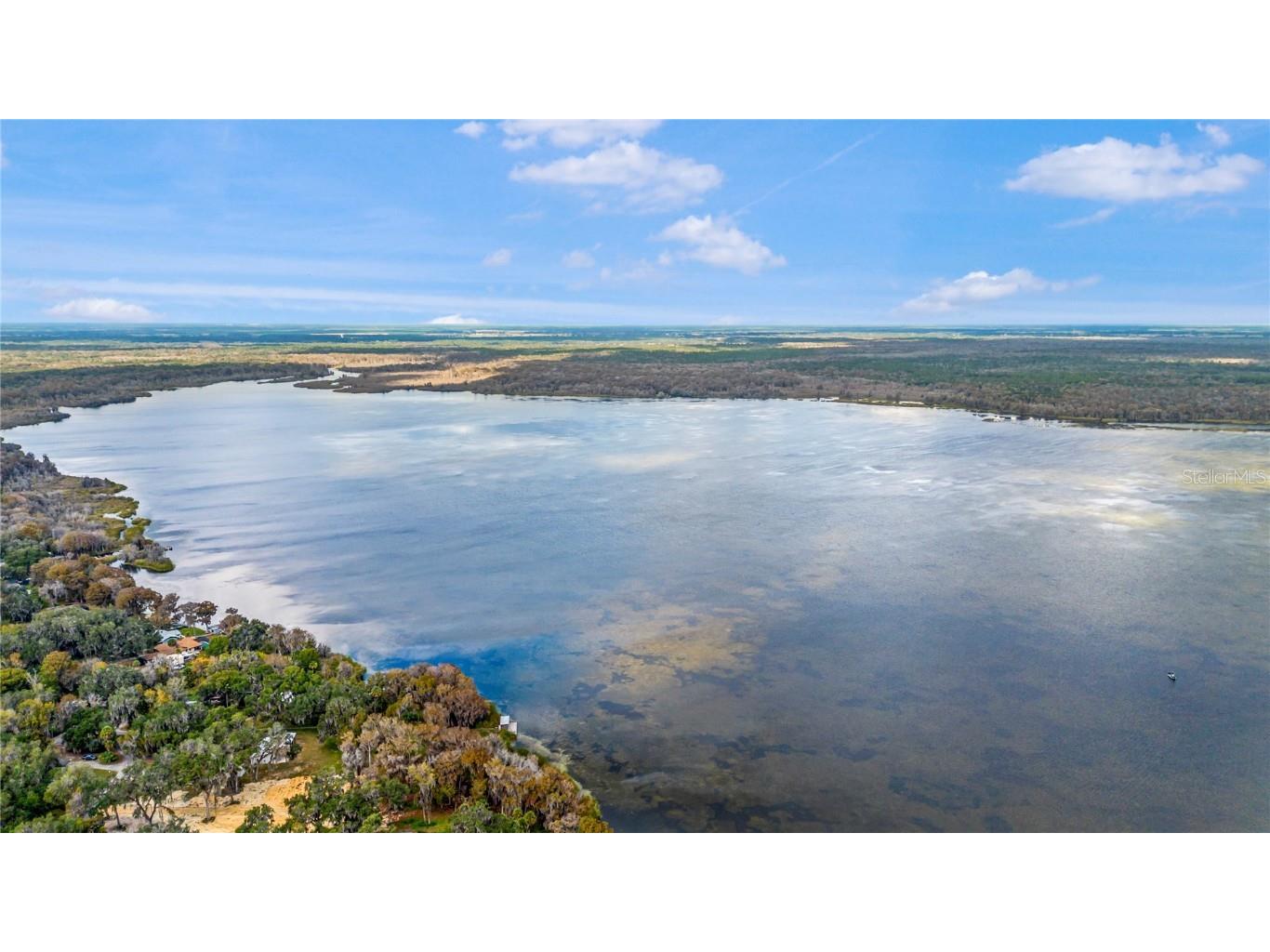 3617 Cr 406 Lake Panasoffkee FL 33538 W7881279 image33