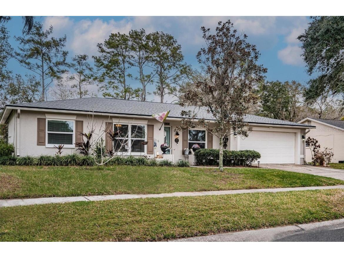 3617 Orangepointe Road Valrico FL 33596 T3501929 image1