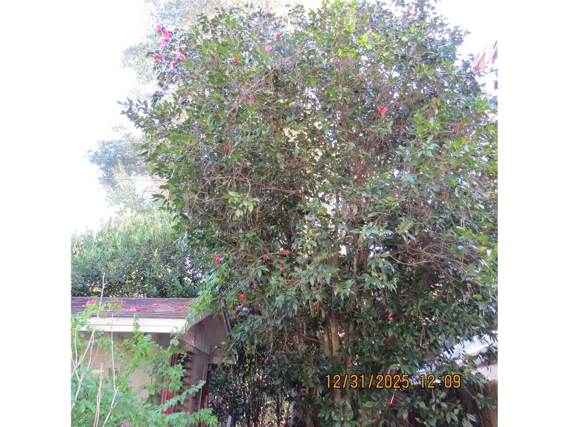 3617 SW 20th Street Gainesville FL 32608 GC536236 image26