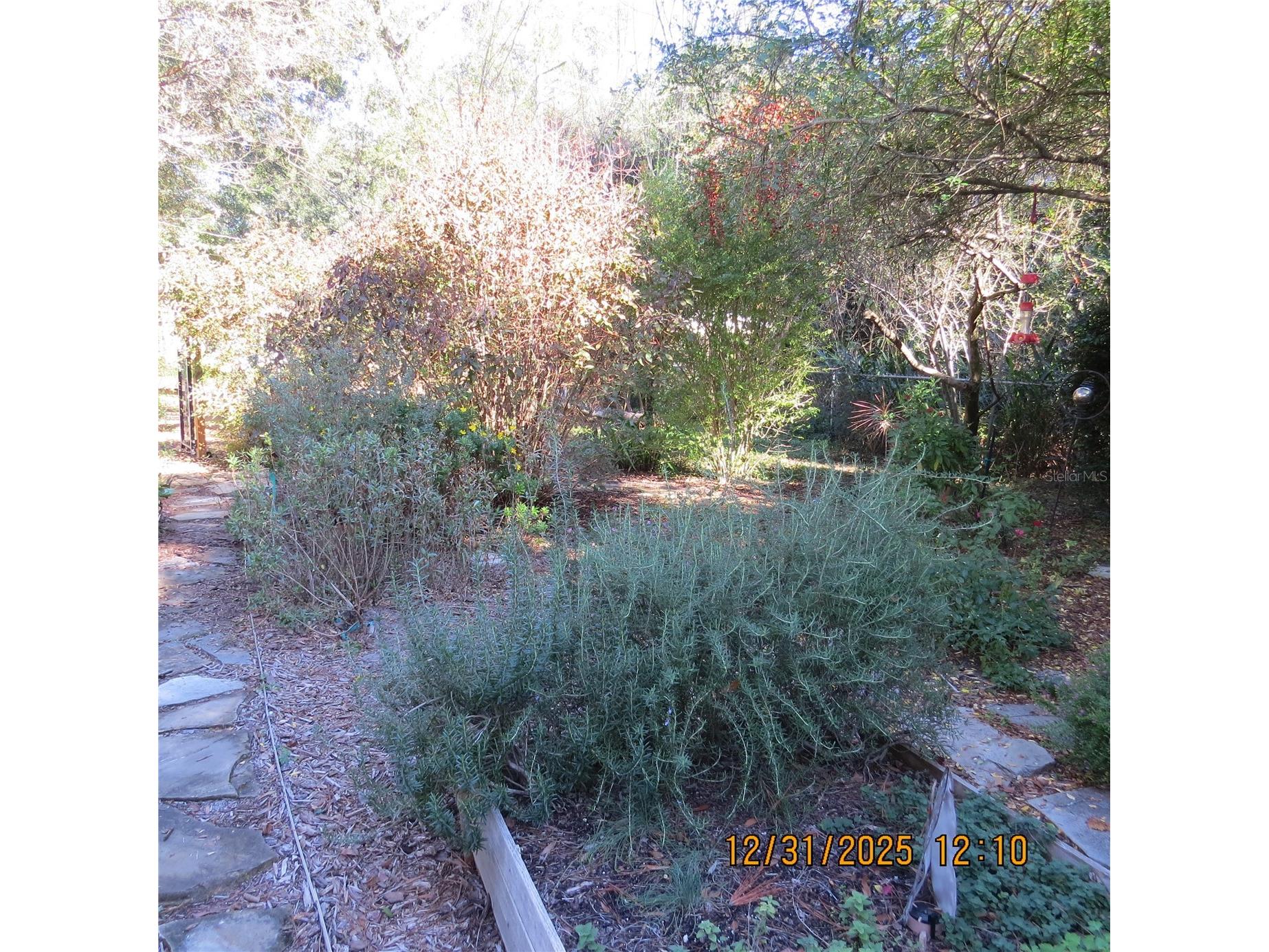 3617 SW 20th Street Gainesville FL 32608 GC536236 image27