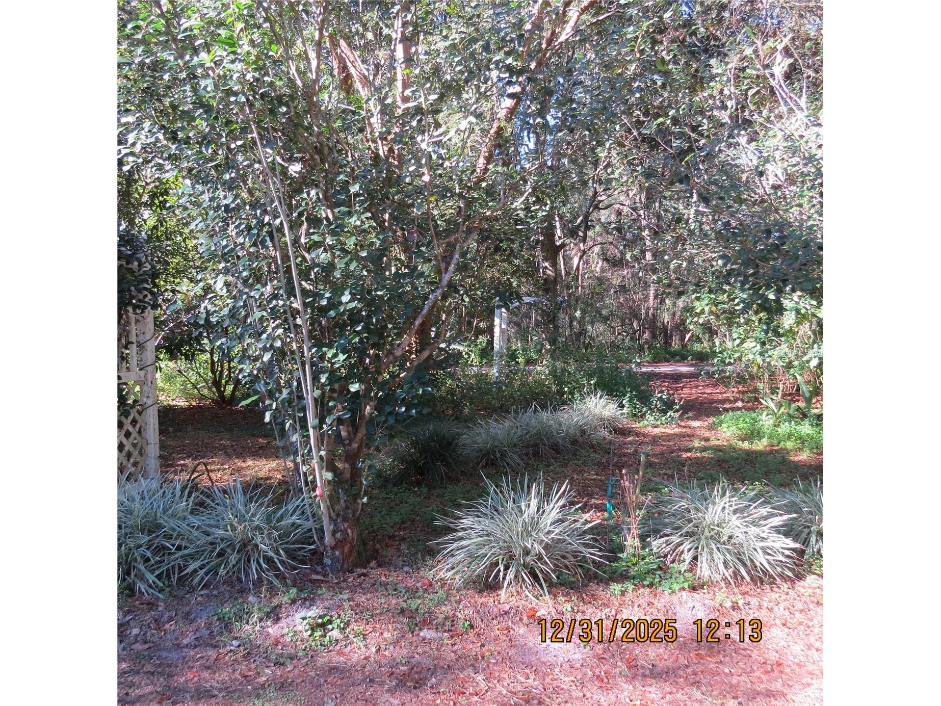 3617 SW 20th Street Gainesville FL 32608 GC536236 image29