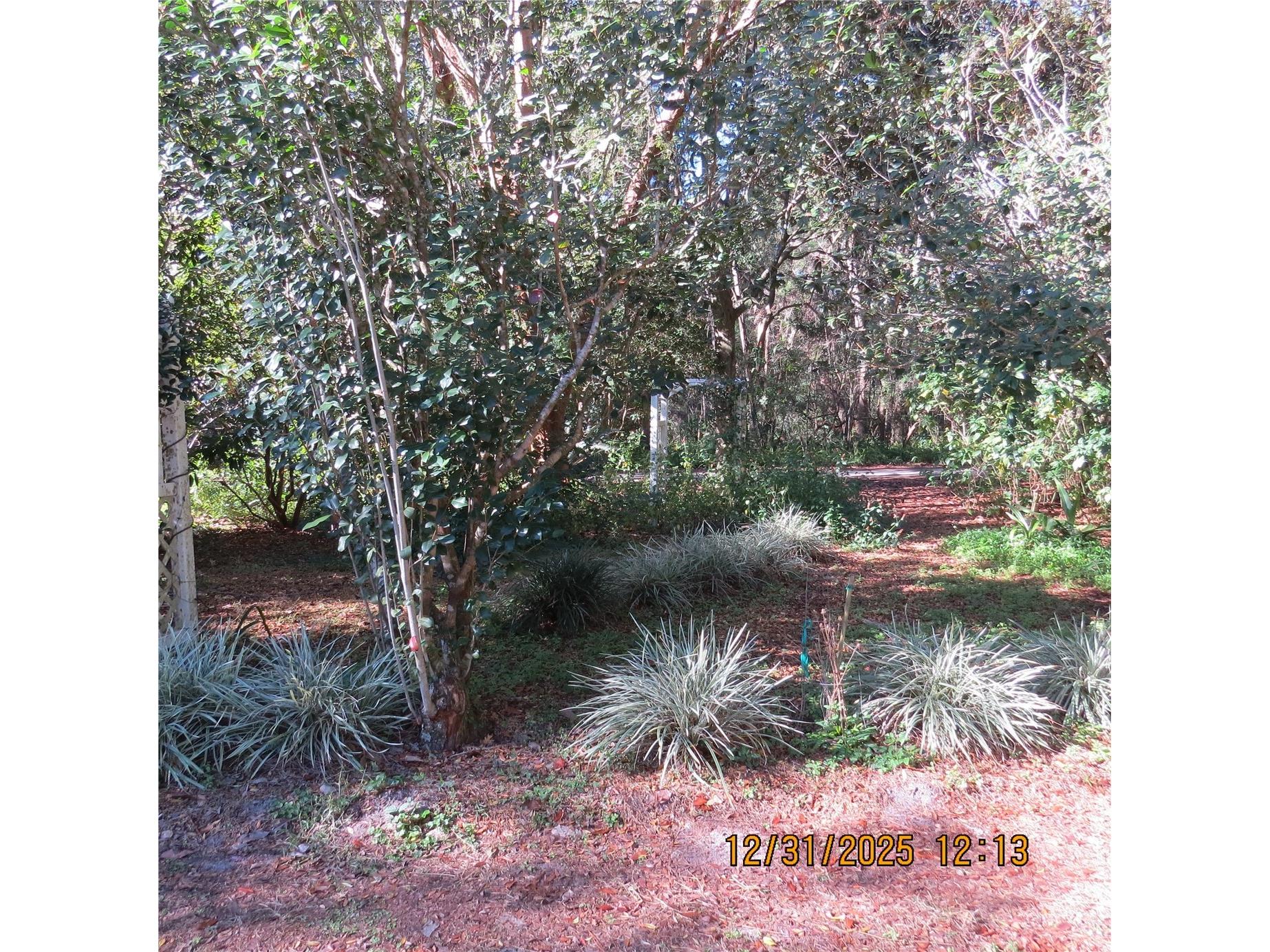 3617 SW 20th Street Gainesville FL 32608 GC536236 image30