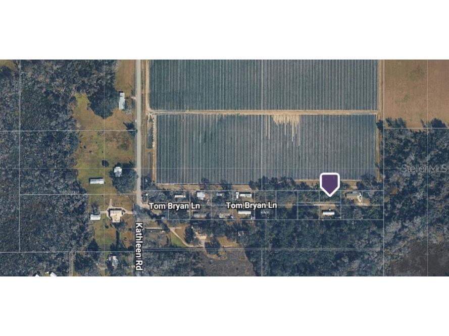 3617 Tom Bryan Lane Lakeland FL 33810 A4699409 image1