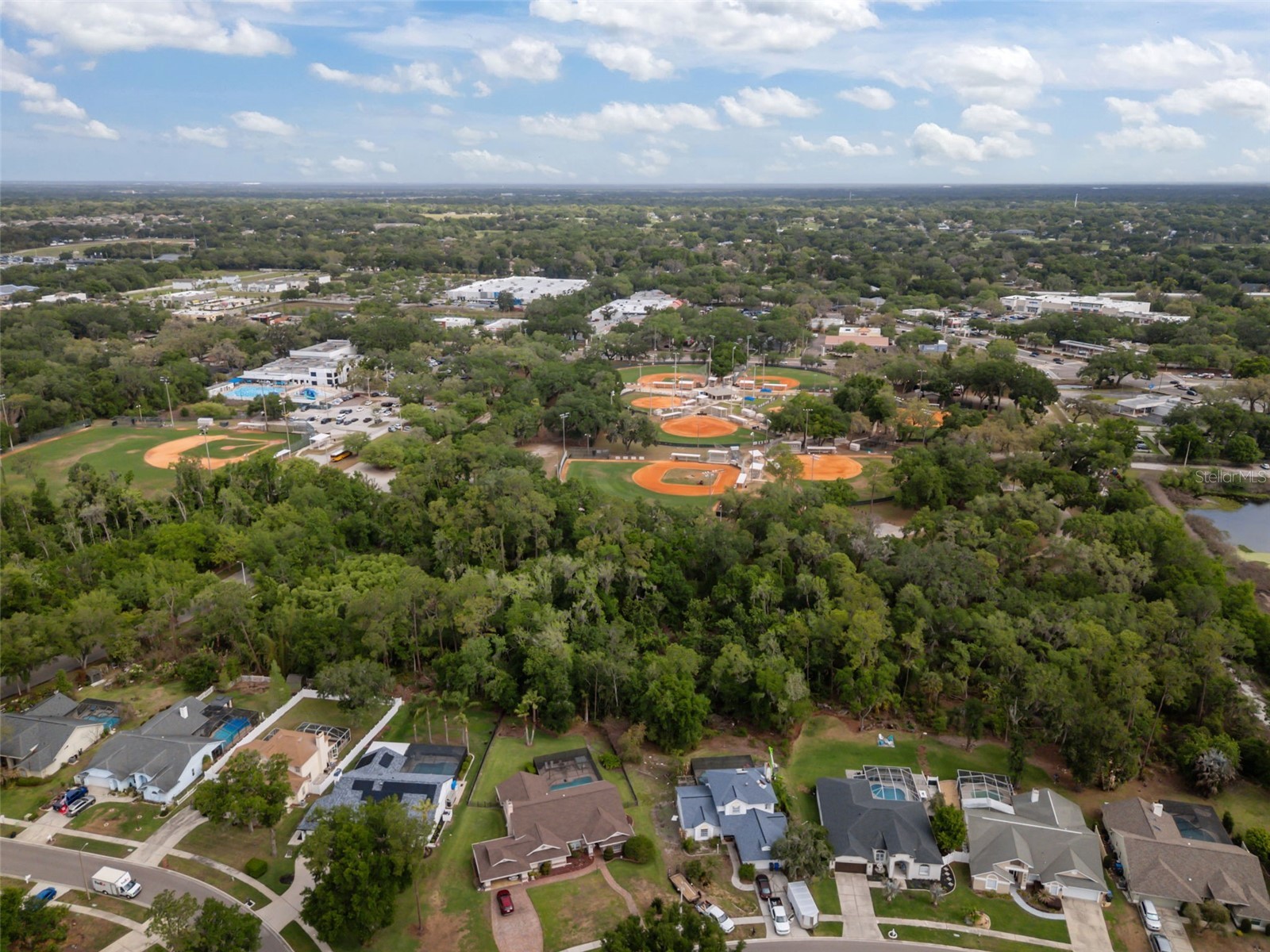 3617 Treeline Drive Valrico FL 33596 TB8495493 image38