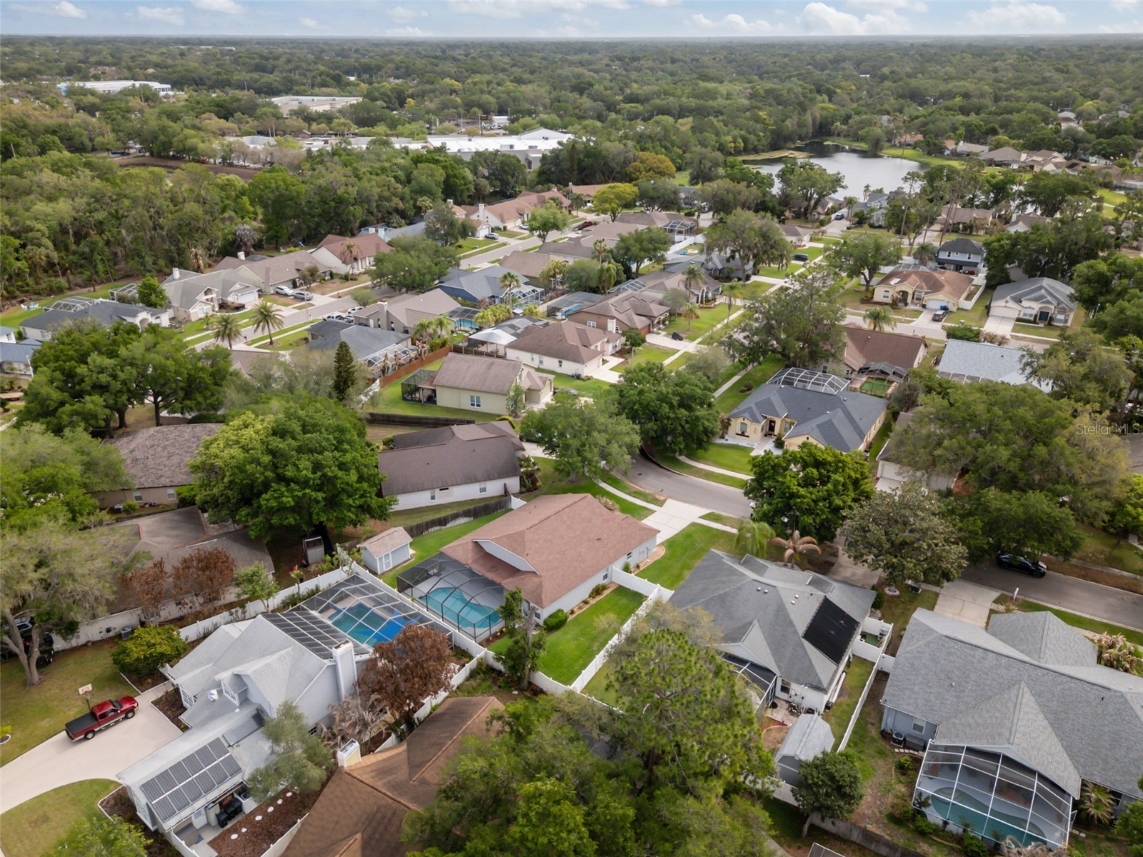 3617 Treeline Drive Valrico FL 33596 TB8495493 image39