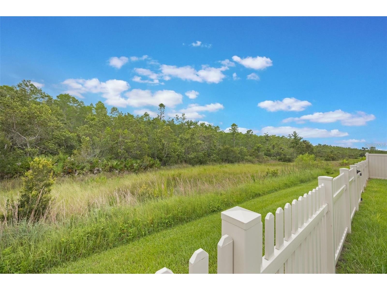 3617 Vega Creek Drive Saint Cloud FL 34772 O6415772 image34