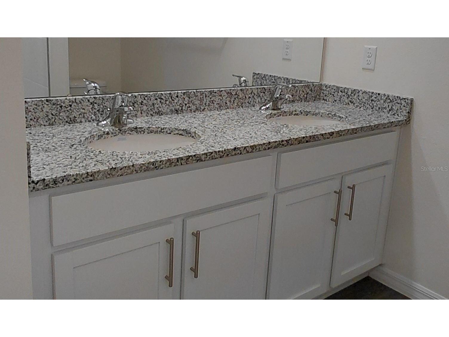 36171 Sunflower Hill Drive Zephyrhills FL 33541 TB8514714 image11