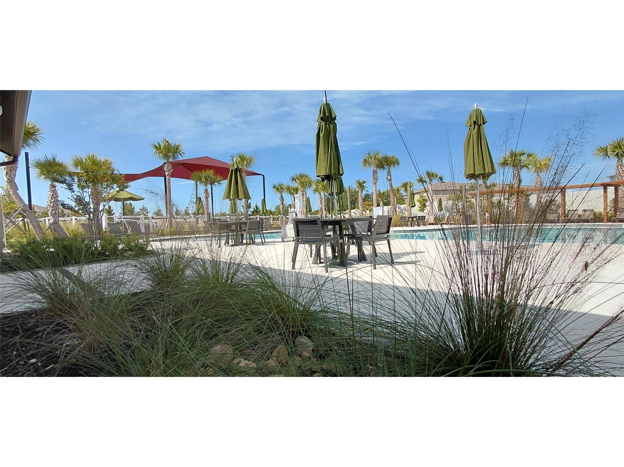 36171 Sunflower Hill Drive Zephyrhills FL 33541 TB8514714 image29
