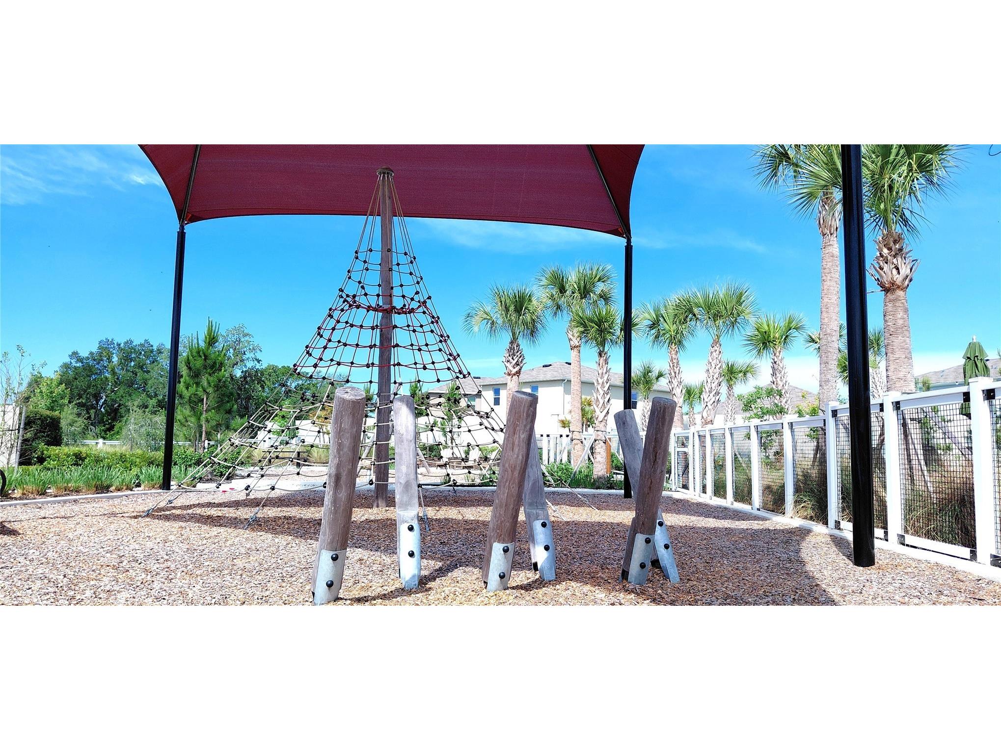 36171 Sunflower Hill Drive Zephyrhills FL 33541 TB8514714 image37