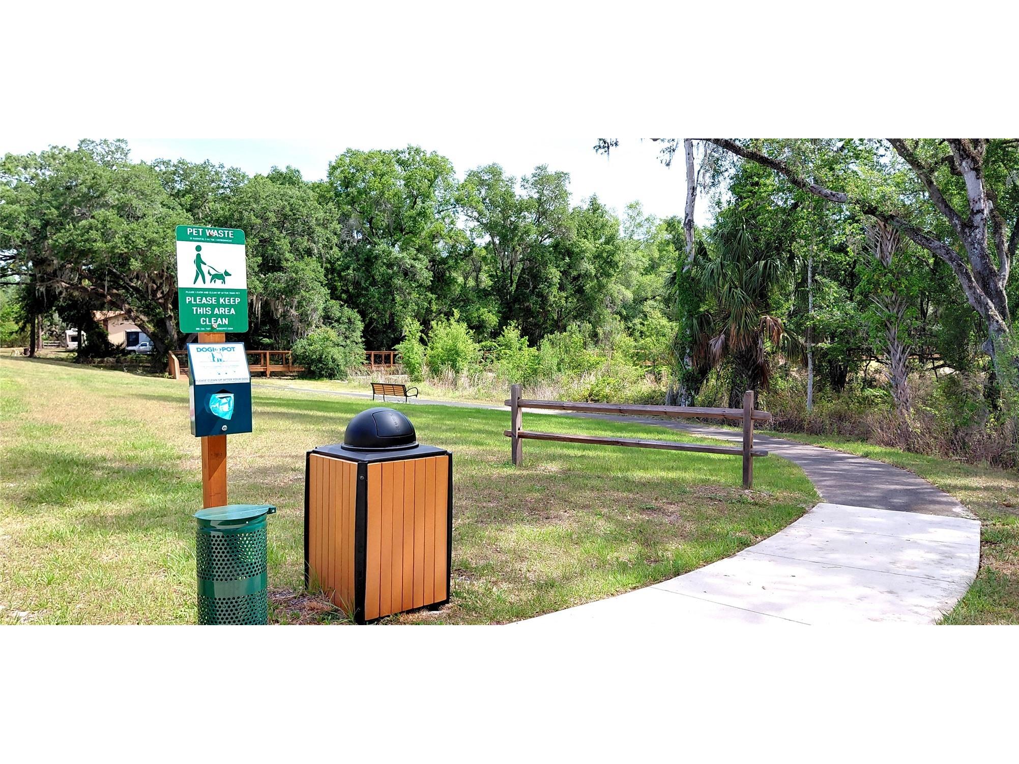 36171 Sunflower Hill Drive Zephyrhills FL 33541 TB8514714 image39