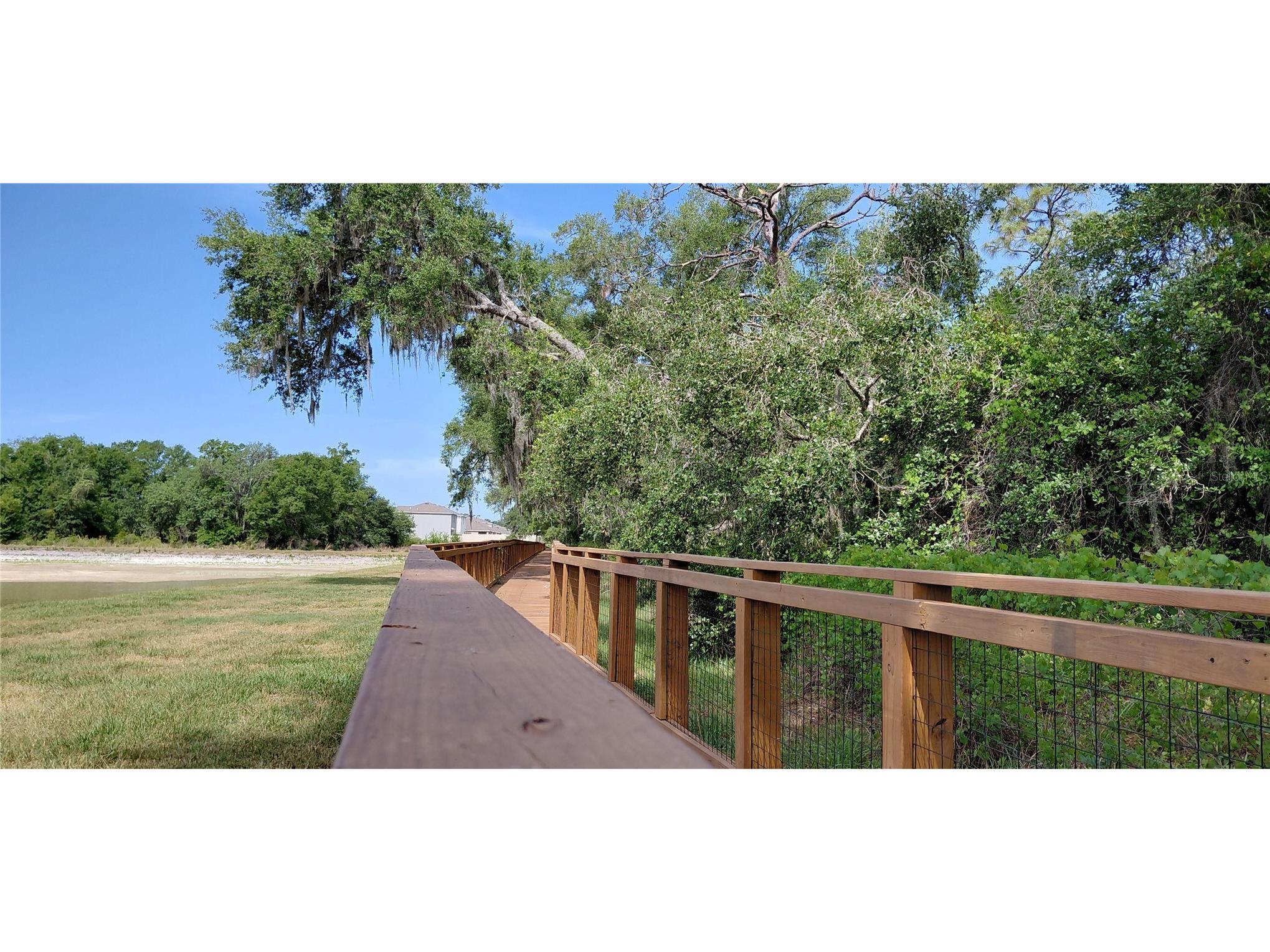 36171 Sunflower Hill Drive Zephyrhills FL 33541 TB8514714 image40